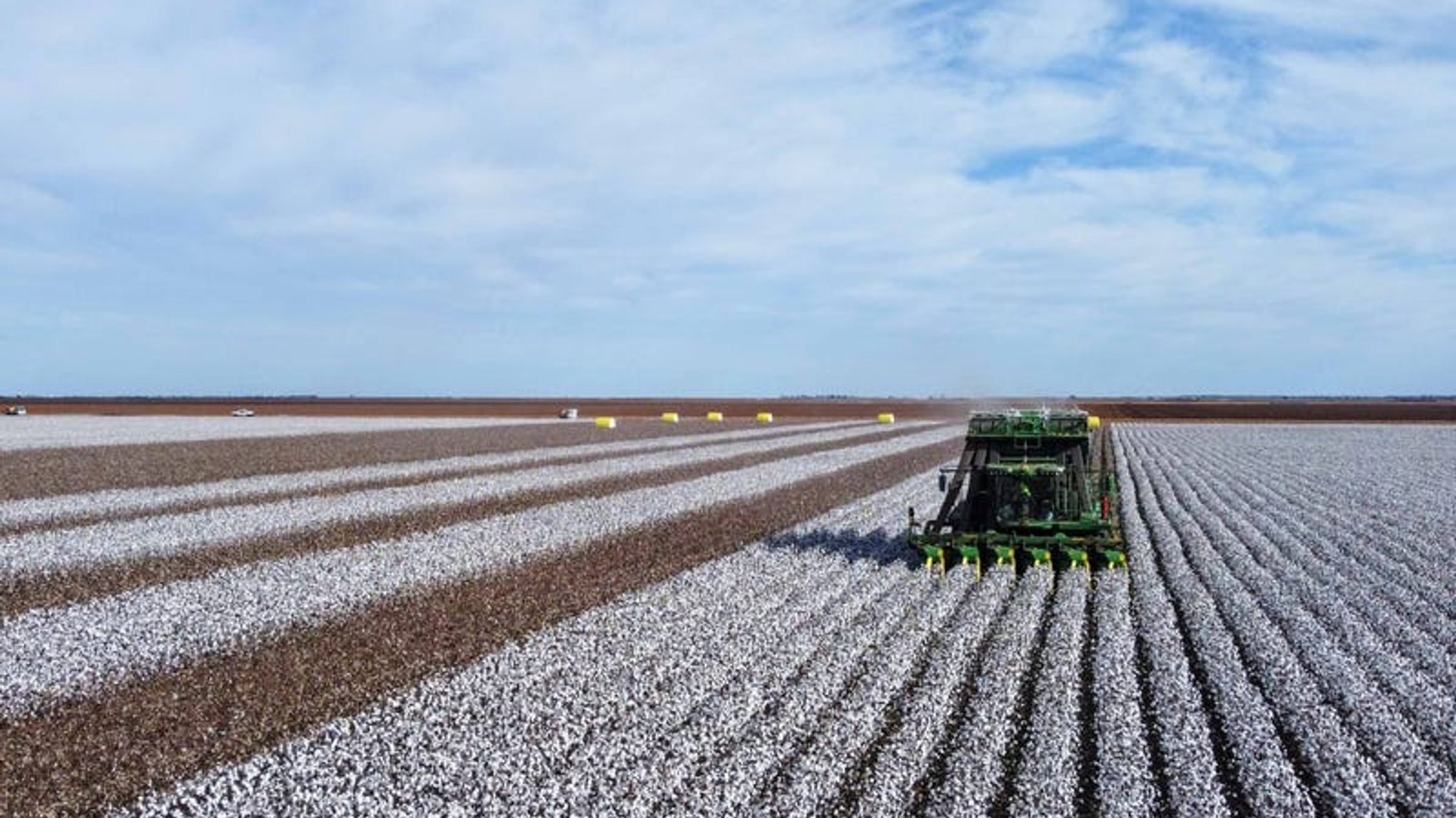 Cotton harvest at the group's farm in New South Wales